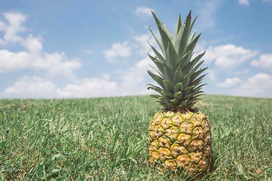 Pineapples in demand globally