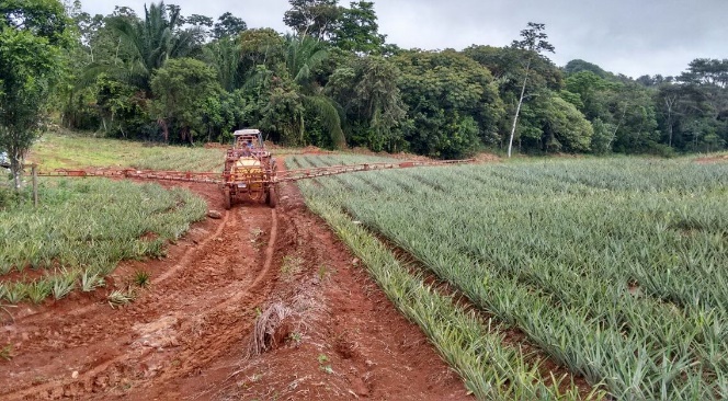 Pineapple farm spray boom