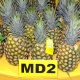 MD2 pineapples