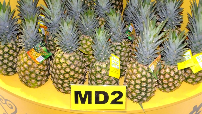 80% of pineapples imported into Europe are of the MD2 variety