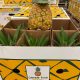 Colorada Fresh Pineapples air shipped to Italy