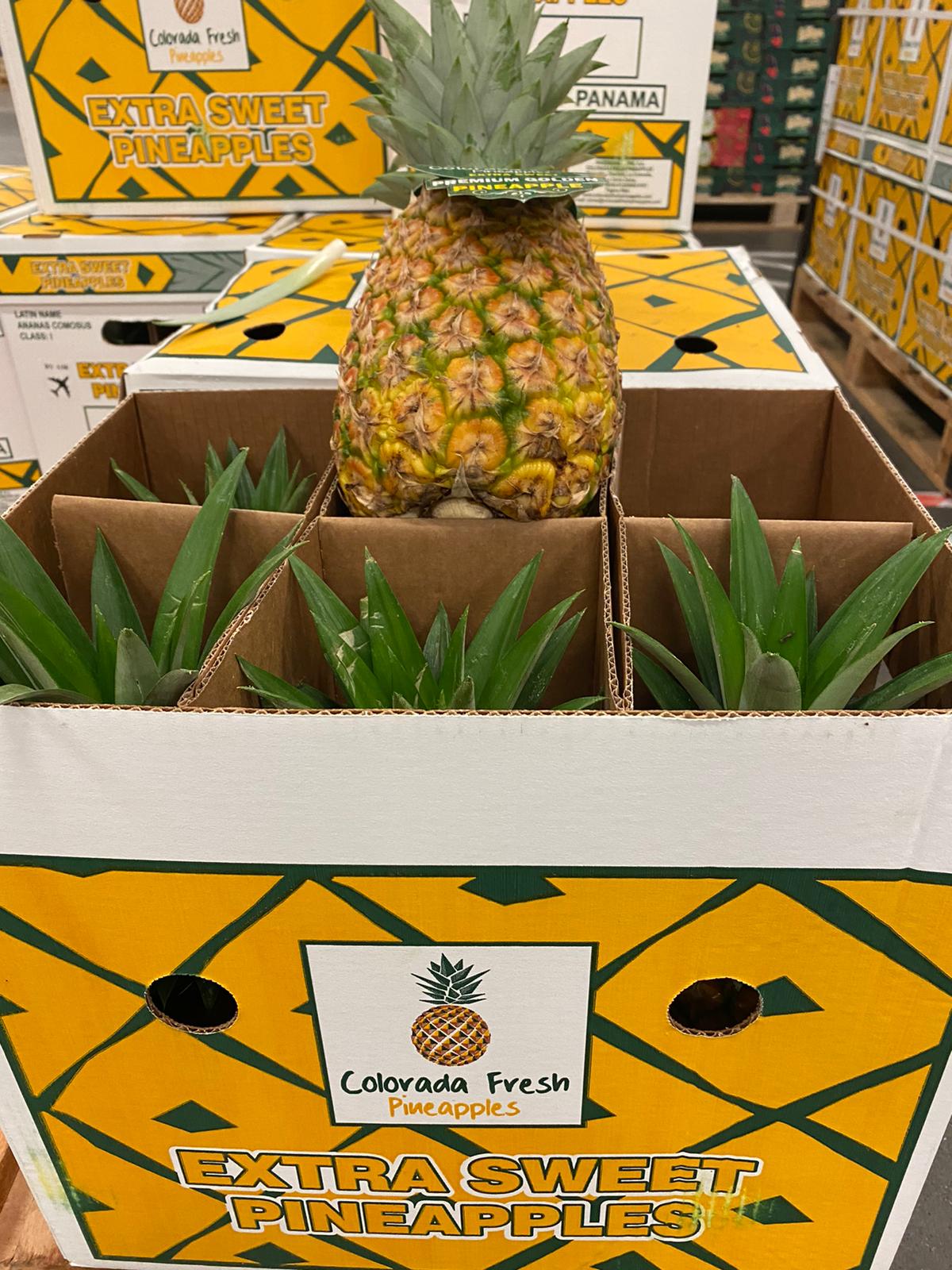 Colorada Fresh Pineapples air shipped to Italy