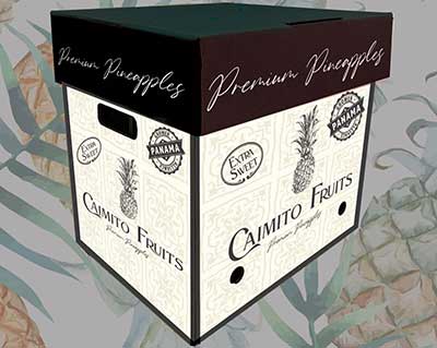 Caimita Fruits Panama box