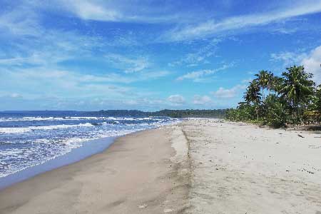 Caribbean beachfront lots for sale in Panama