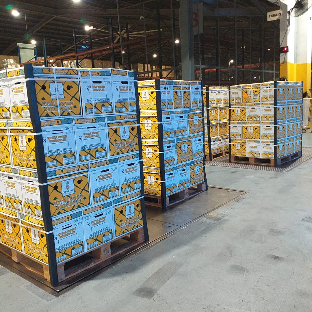 Colorada Fresh Pineapples air export boxes
