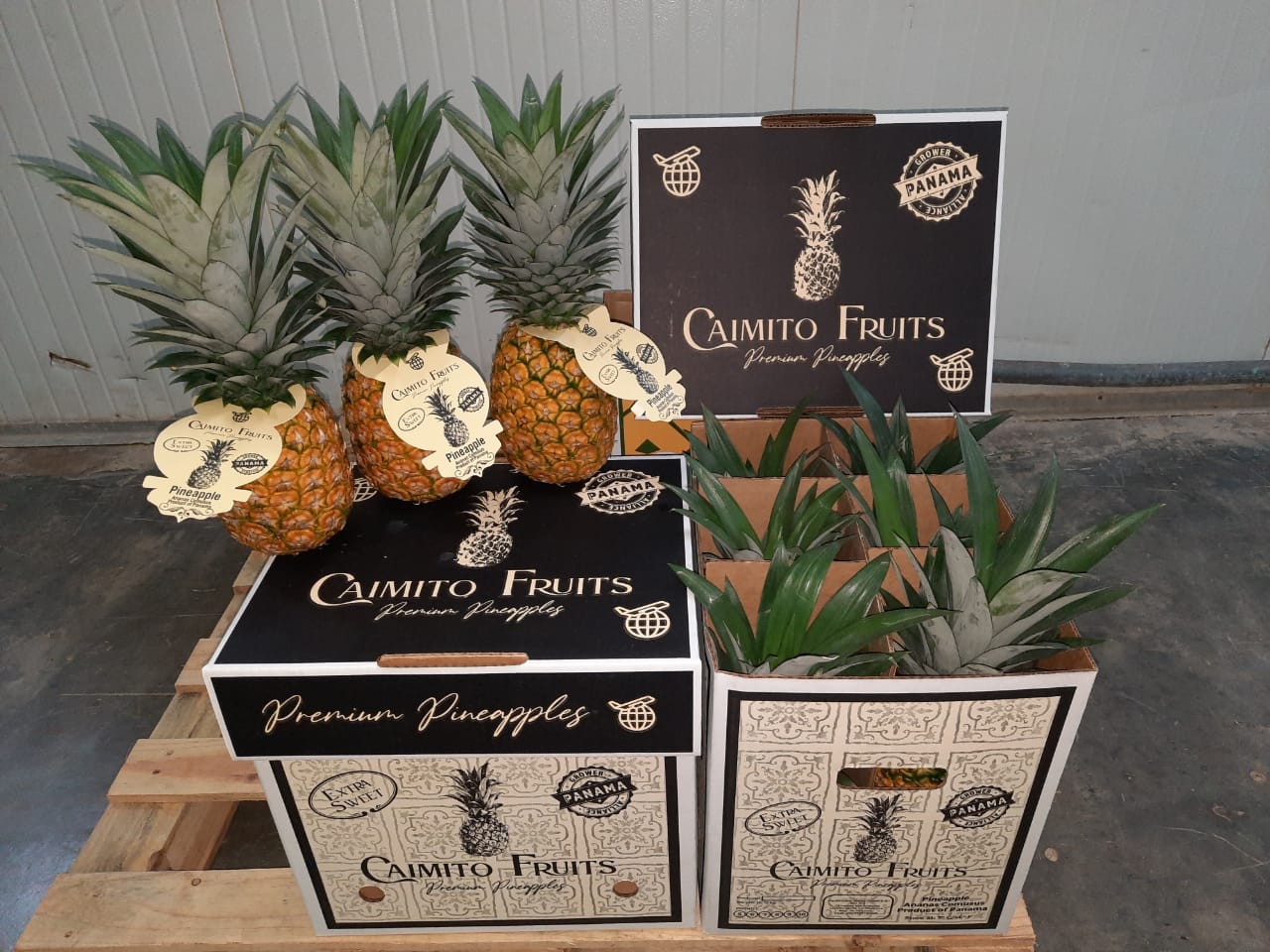 Caimito Fruits Boxes stacked