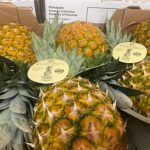 Caimito Fruits Pineapples arriving in Barcelona