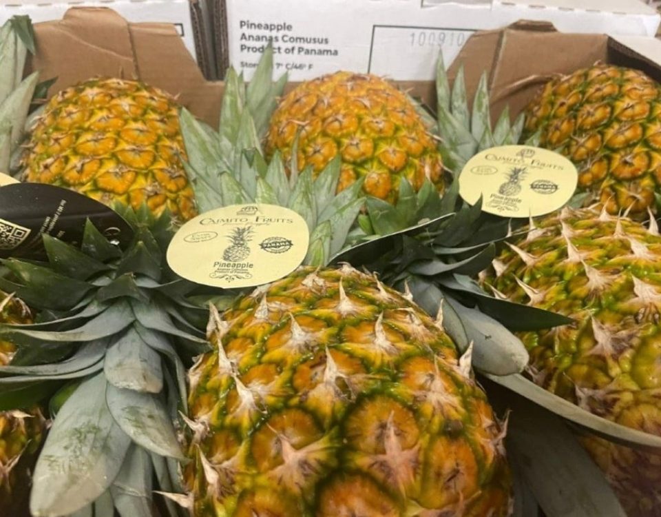 Caimito Fruits Pineapples arriving in Barcelona